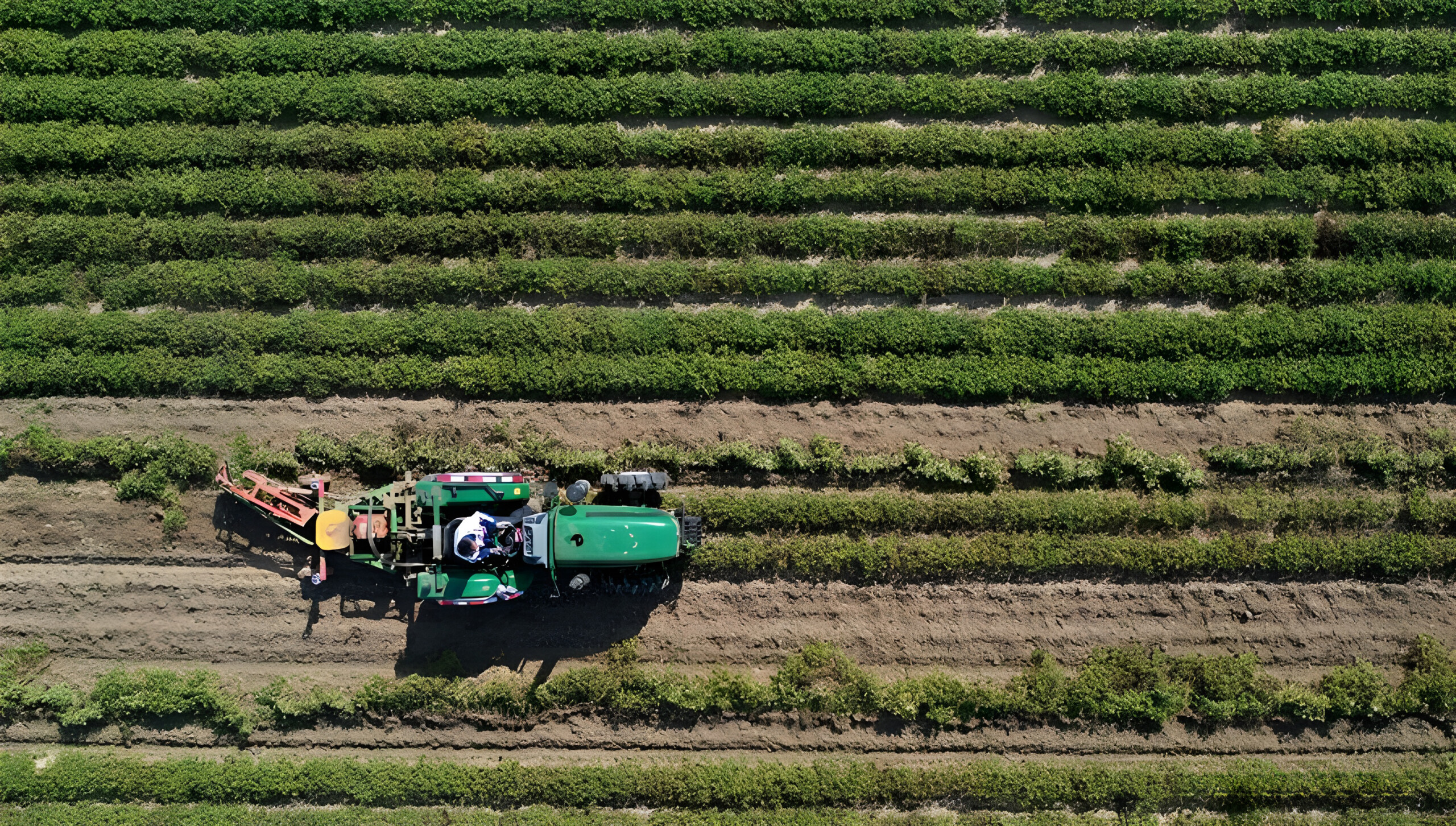 139395161_16010108014741n1